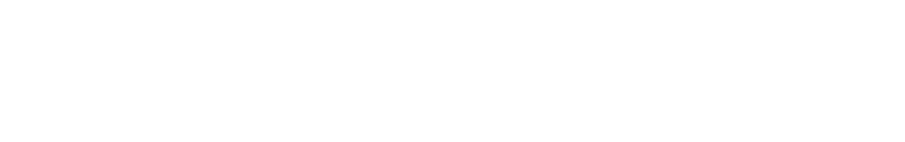 Logo Netshoes
