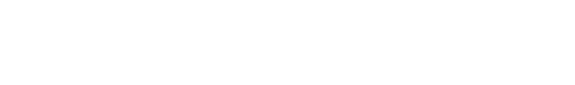 Logo Di Santinni