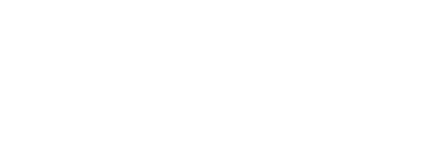 Logo Anita Shoes