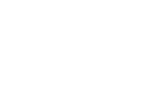 Logo NK