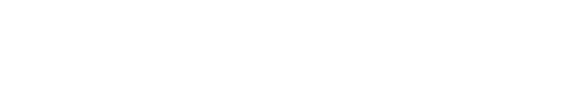Logo Basic