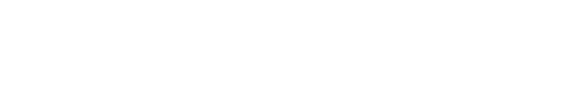 Logo Riachuelo