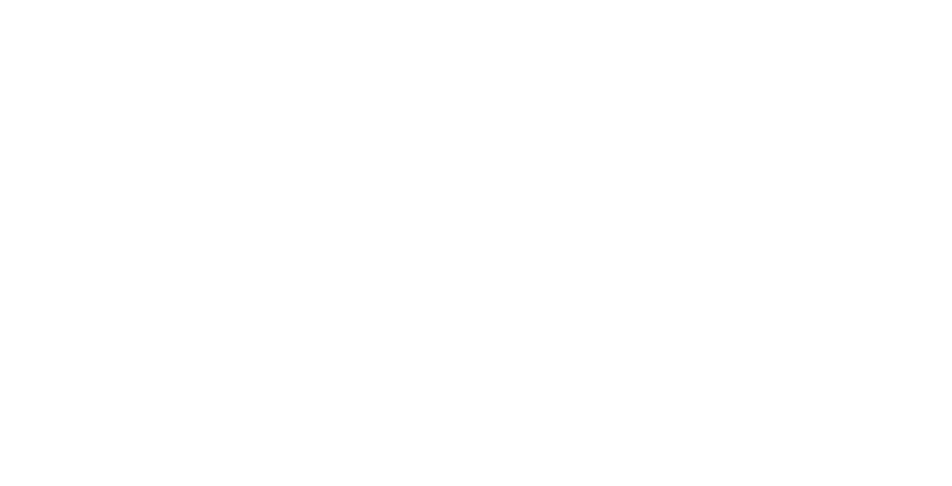 Logo NV