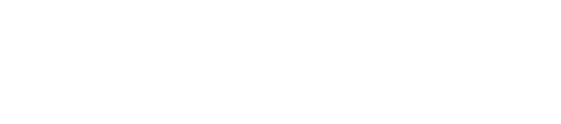 Logo Camicado